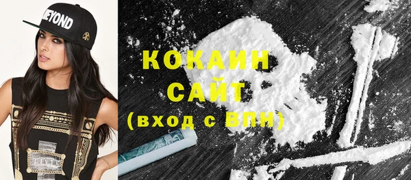 ешки Гусь-Хрустальный