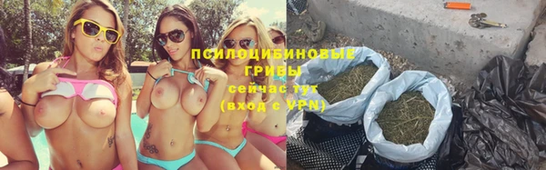 гидропоника Медногорск