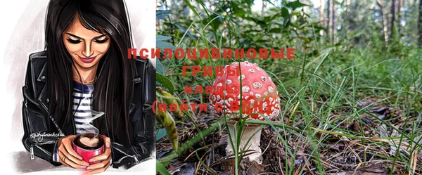 гидропоника Медногорск