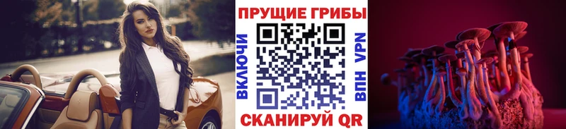 Галлюциногенные грибы GOLDEN TEACHER  где купить наркотик  Новосиль 